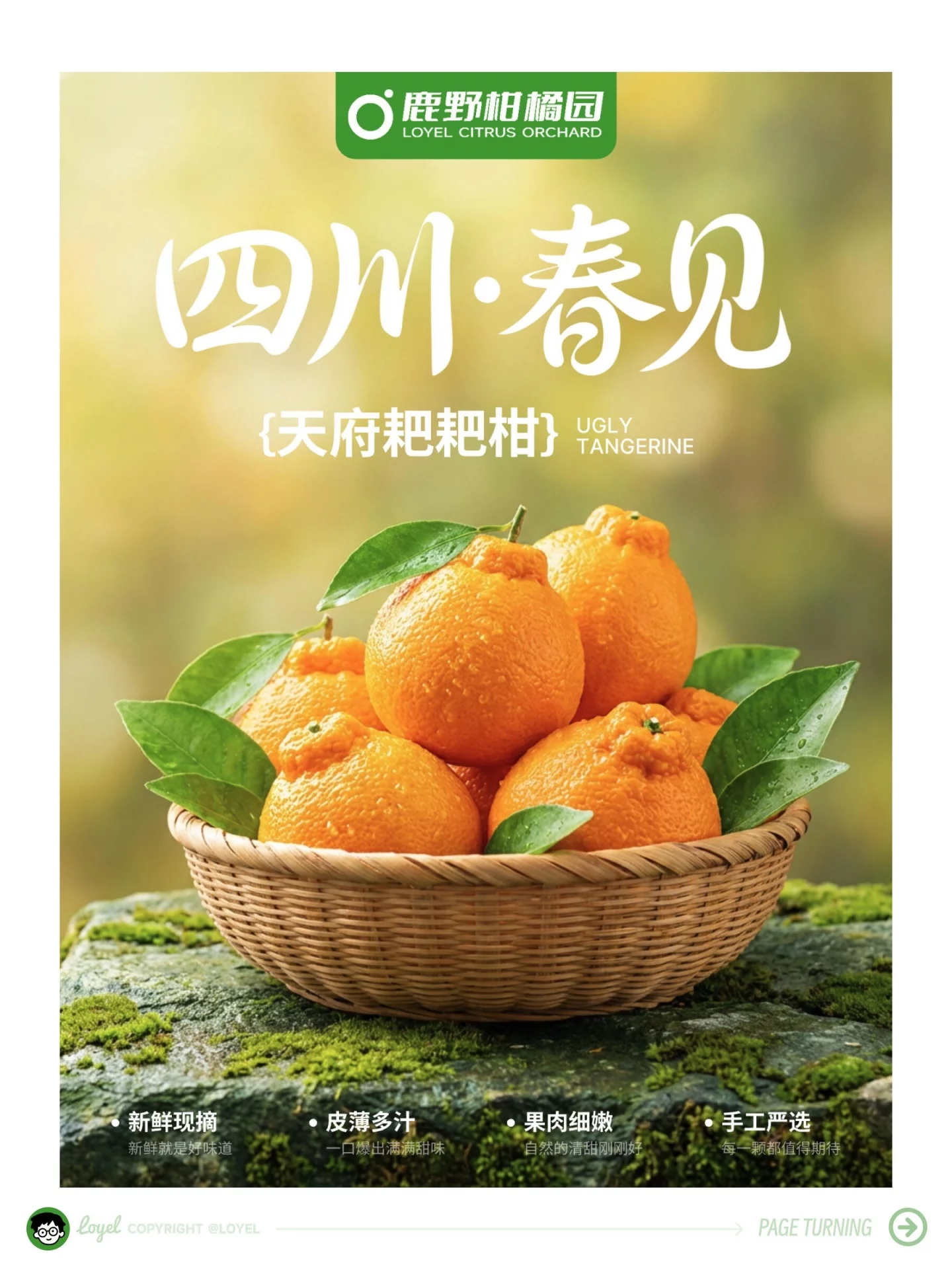 7步喂饭级教程！零基础也能搞定全套AI商业海报